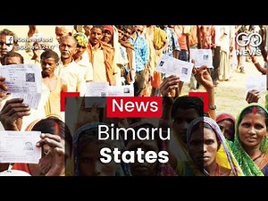 Bimaru Reality Check