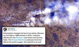 Amazon rainforest fire: Astronaut in dire plea to save the Amazon