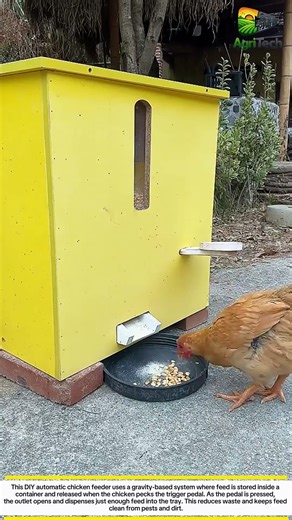 This Smart Chicken Feeder Dispenses Food Automatically! | Simple Farm Innovation