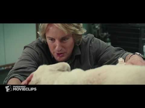 Marley and Me The Final Goodbye