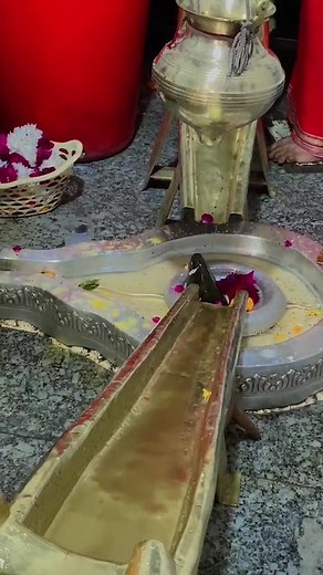 Sumit Panwar on Reels