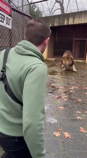 this shouldn’t be happening