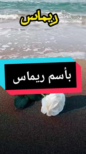 كل ما تريد معرفته عن اسم ريماس