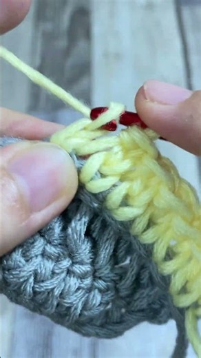 THE MOST BEAUTIFUL CROCHET STITCH YOU CAN MAKE WITH JUST ONE ROW! #shorts #crochet #crochetpattern