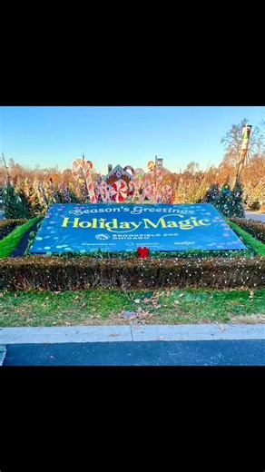 Brookfield Zoo Holiday Magic with Gerry Snow | Allison McGuire Snow