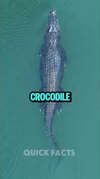 prehistoric Animals Fact's...#prehistoric #science #facts