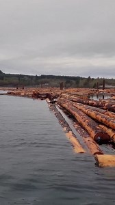 13M views · 24K reactions | Campbell River boater moves in to help massive eagle that appears to be struggling, but is shocked when he realizes the bird is just dragging along his dinner! 礪 Campbell River Video by Lee BK instagram.com/wonderfulremark/ | Vancouver Island Buzz | Facebook