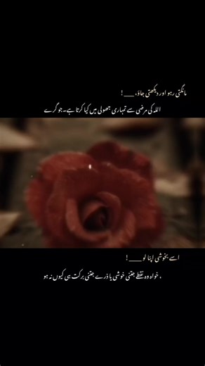 Indeed Allah: A Deep Reflection