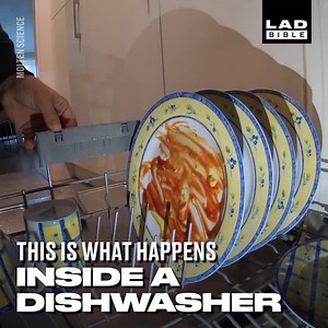 If you've ever wondered what goes on inside your dishwasher, today's your lucky day! 🧽💦 | LADbible