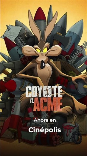 Coyote vs Acme - Idea