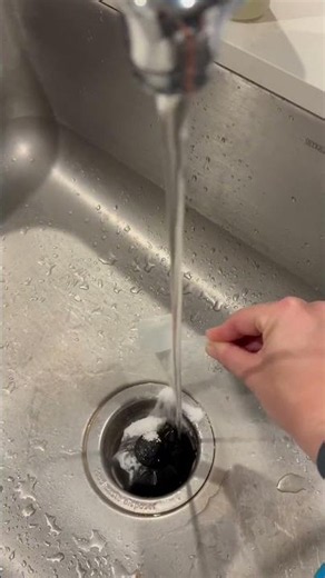 Review: Flies and gnats around your kitchen sink? Eliminate them!