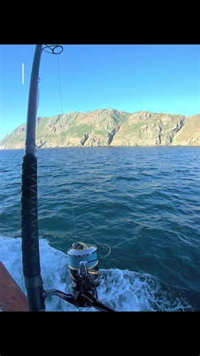 Yo-Yo Jigging for Yellowtail: Tips and Techniques