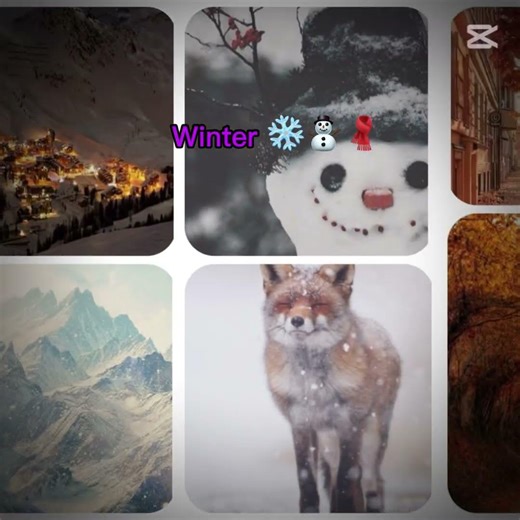 Which one are you, summer, winter, autumn or spring? Write it in the chat👍😎