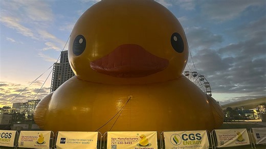 World's largest duck makes a splash in Clearwater