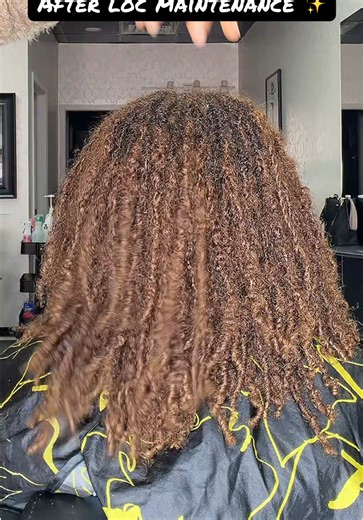 Transforming Neglected Locs: Complete Maintenance Process