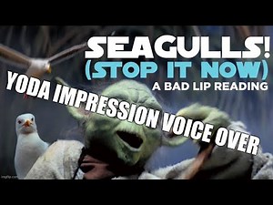 "SEAGULLS! (Stop It Now)' --Yoda Voice Over