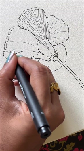 Flower Files - Day 1 - Back side of hibiscus