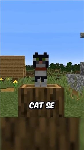 Cat Can Give infinite Diamonds😱 in Minecraft...|‪@STEEL-WING‬ #cat #shorts #steelwing #minecraft