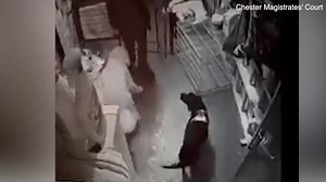 CCTV of dog sitter hitting and kicking customers' pets