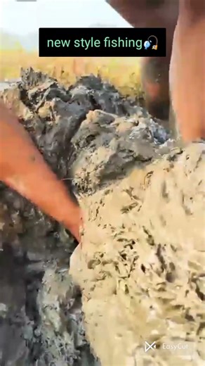 Amazing Village Fishing 🎣 | Catching Big Fish in Village Pond | Crazy Fishing Adventure