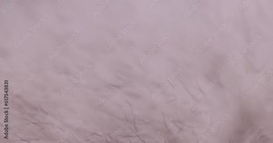 focus on a part of a fur coat made of natural white arctic fox fur, a close-up of arctic fox fur used in the manufacture of clothing