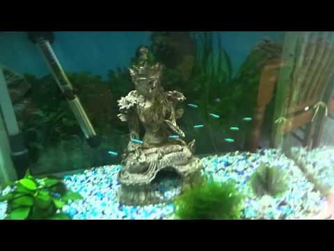 Aqua One 620 LED Light Upgrade