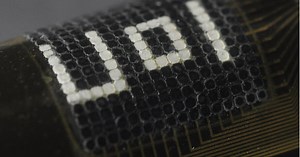 Squids inspire an autonomous camouflaging system