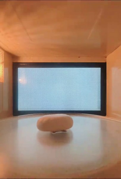 Soap vs Microwave Experiment for Satisfying ASMR Sounds