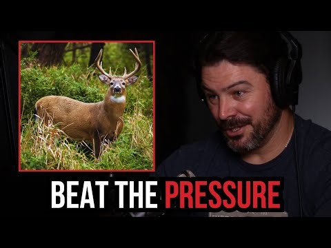 Bowhunting Swamp Bucks | Access & Tactics