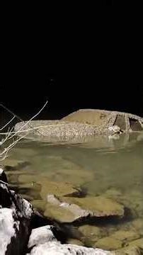 We Found a Missing Woman Underwater Deep In The Lake!