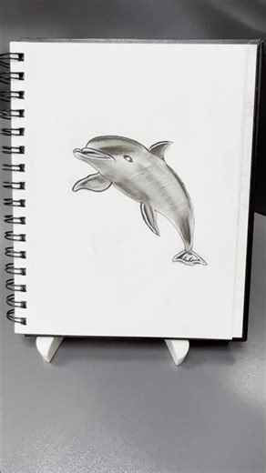 Dolphin Drawing tutorial with charcoal pencil #drawing #art #sketch #dolphin