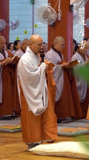 #Tongdosa #BaekjungPrayer #ClosingCeremony #temple