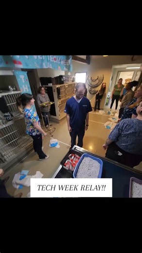 Tech week relay race! | Creature Comforts Veterinary Hospital