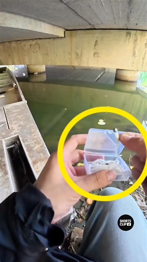 92K views · 130 reactions | #factreels #facts #amazingfacts | Shorts clip | Facebook