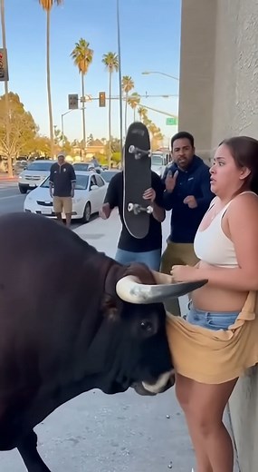 bull corners woman, tears off her clothes and runs away | Artificial Creation