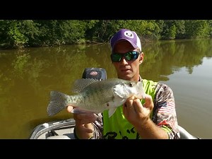 Crappie Fishing on the Mighty Ohio River
