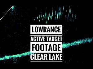 Lowrance Active Target at Clear Lake - Detailed Fishing Footage - February 2021