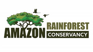 Kids-Layers of the Amazon Rainforest - Amazon Rainforest Conservancy