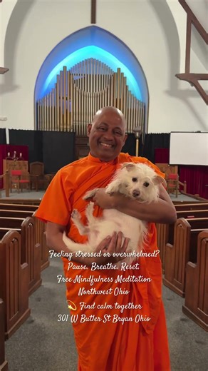 The Calm You Need FREE Meditation Bryan Toledo OH Beginners Welcome Pause Breathe Bhante Devananda