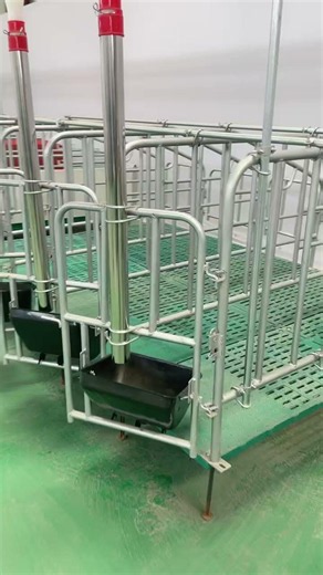 Farm Hack! Professional Pig Pen Layout for Better Animal Management #farming #pigfarm #agricultural