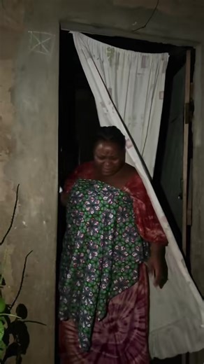 Dora l'exploratrice: Qui est Toto?