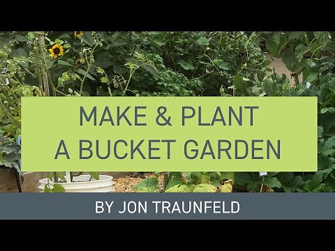 Make and Plant a Bucket Garden