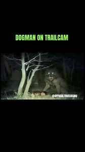 105K views · 858 reactions | Was this a Dogman caught on a trail cam?...