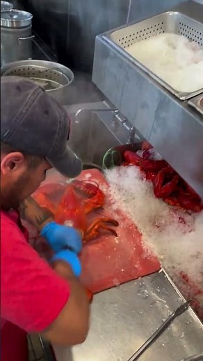 Watch This Lobster Go From Pot To Plate! #food