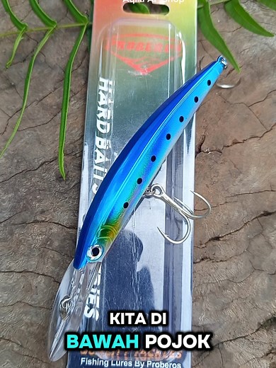 Membalas @fahrulrozi1517 PROBEROS Minnow 17cm 27gr #yearendsale #wibgajian #minnow #minnowtrolling #trolling #mancingtrolling #castingfishing🎣 #mancingtenggiri #strike #proberos