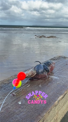 Snapper Candys on Instagram: "**UPDATE** ‼️ The last couple of weeks have been busy behind the scenes since our components arrived, so a huge thank you for your patience 🙏📦 We’re now fully caught up and all current orders have been shipped 🚚 If yours hasn’t landed yet, it’ll be with you very soon 🙌 As always, we’re sticking to top quality only using Gemini, BKK and Black Magic on our rigs, plus of course Snapper Candy’s 🍭🎣⚓ We’ve also added our new pre made dropper rigs to the website ❤️ H