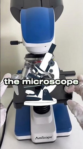 Human saliva under the microscope 🔬.