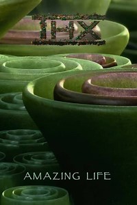 Stream thx-amazing-life-2007 (): Find it on Netflix, Prime Video, Hulu & more