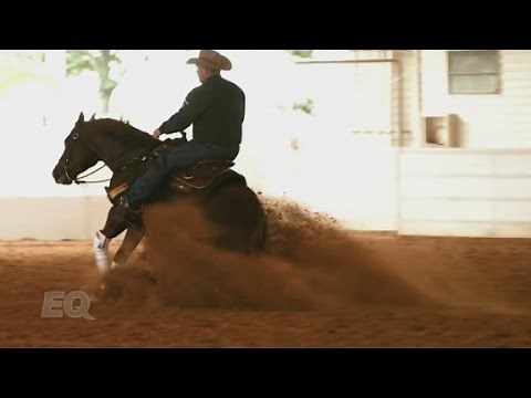 Reining's first $5M rider