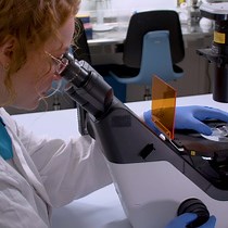 Video: Robust Tissue Fabrication for Long-Term Culture of iPSC-Derived Brain Organoids for Aging Research